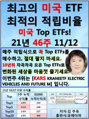최고의 미국ETF, 최적의 적립비율,21.46.11.12 TopETFs