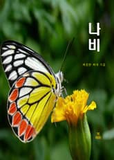 나비 표지 이미지