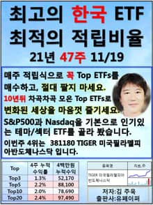 최고의 한국ETF, 최적의 적립비율,21.47.11.19 TopETFs
