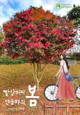 빨강머리앤줌마의 봄 표지 이미지