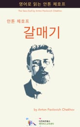 안톤 체호프의 갈매기 표지 이미지