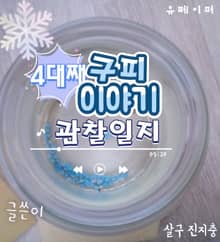 구피이야기