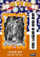 그림형제 동화 65. 털북숭이 부엌데기 공주 표지 이미지