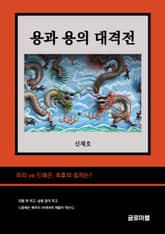 용과 용의 대격전 표지 이미지