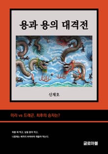 용과 용의 대격전