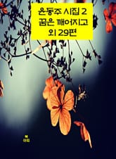 윤동주 시집2_ 꿈은 깨어지고 외 29편 표지 이미지