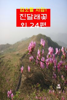 김소월 시집1_ 진달래꽃 외 24편