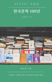한국문학 100년