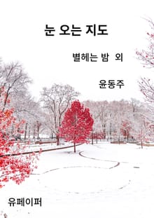 눈 오는 지도