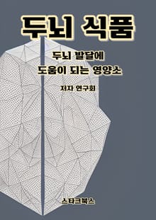 두뇌 식품