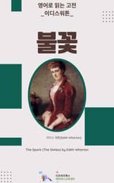 이디스 워튼의 불꽃 표지 이미지