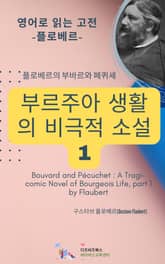 플로베르의 부바르와 페퀴셰 _ 부르주아 생활의 비극적 소설1 표지 이미지