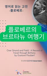 플로베르의 브르타뉴 여행기 표지 이미지