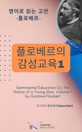 플로베르의 감성교육1 표지 이미지