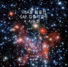 VBA를 활용한 SAP 입출력업무 자동화