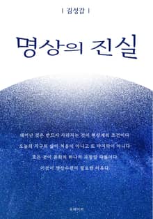 명상의 진실