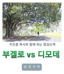 부겔로 VS 디모데