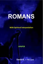 Romans Interpretation Book 표지 이미지