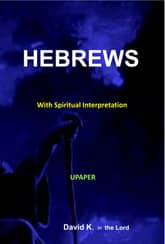 Hebrews Interpretation Book 표지 이미지