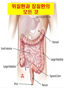 위질환과 장질환의 모든 것