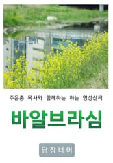 바알브라심 표지 이미지