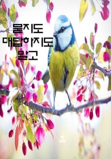 묻지도 대답하지도 말고 외 7편
