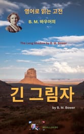 B.M. 바우어의 긴 그림자 표지 이미지