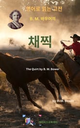 B.M. 바우어의 채찍 표지 이미지