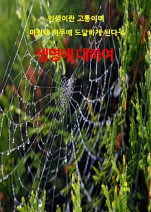 인생이란 고통이며 마침내 허무에 도달하게 된다-4