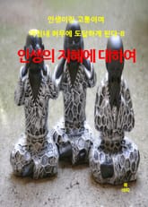 인생이란 고통이며 마침내 허무에 도달하게 된다-8 표지 이미지