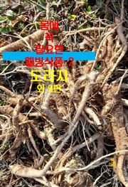 몸에 꼭 필요한 웰빙식품-2 _도라지 외 9편