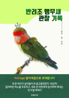 반려조 앵무새 관찰 기록 : NoCage 별이네집으로 초대합니다