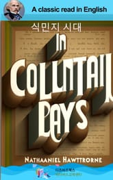 나다니엘 호손의 식민지 시대 표지 이미지