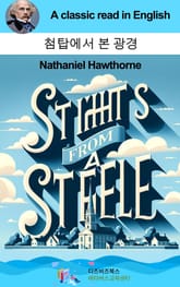 나다니엘 호손의 첨탑에서 본 광경 표지 이미지