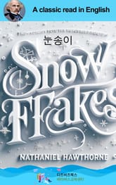 나다니엘 호손의 눈송이 표지 이미지