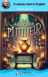 나다니엘 호손의 기적의 항아리 표지 이미지