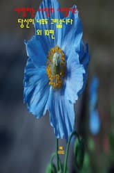 사랑하는 사람의 사랑시2 _당신이 너무도 그립습니다 외 10편 표지 이미지