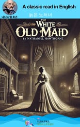 나다니엘 호손의 늙은 노처녀 표지 이미지