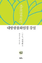 대방광불화엄경 강설 42 : 십정품 3 표지 이미지