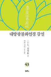 대방광불화엄경 강설 43 : 십정품 4 표지 이미지