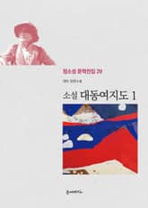 소설 대동여지도 1 표지 이미지