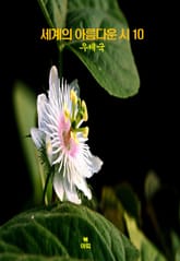 세계의 아름다운 시10 _우체국 외 9편 표지 이미지