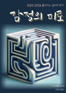 감정의 미로