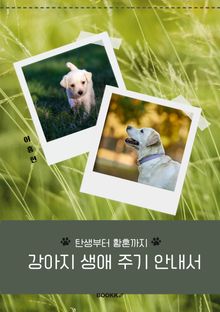 강아지 생애 주기 안내서