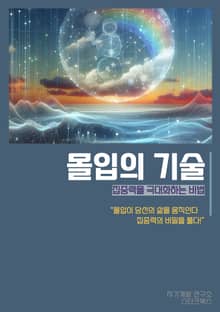 몰입의 기술