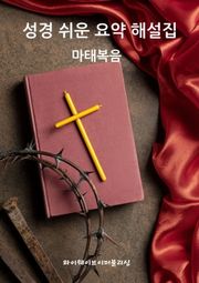 성경 쉬운 요약 해설집 / 마태복음