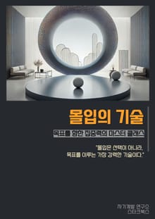 몰입의 기술