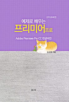예제로 배우는 프리미어프로(EPUB버전)