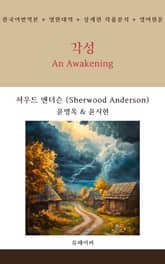 각성 표지 이미지