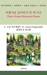 비행기를 갈아타기 전 세 시간 표지 이미지